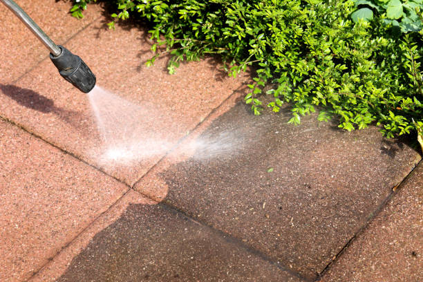 Best Exterior Home Cleaning  in Gibsonia, PA